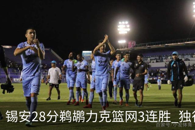 锡安28分鹈鹕力克篮网3连胜 独行侠险胜马刺
